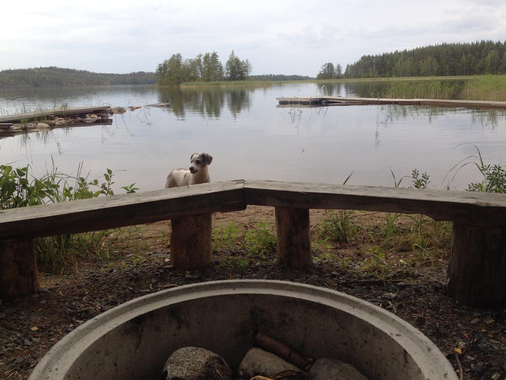 Nestorinranta Resort Lintusalo 외부 사진